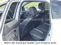 Ford Kuga Titanium/AHK abnehm/Einparkhilfe/4x4 White - thumbnail 11