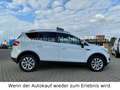 Ford Kuga Titanium/AHK abnehm/Einparkhilfe/4x4 White - thumbnail 8