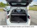 Ford Kuga Titanium/AHK abnehm/Einparkhilfe/4x4 White - thumbnail 21