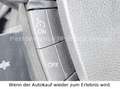 Ford Kuga Titanium/AHK abnehm/Einparkhilfe/4x4 White - thumbnail 16