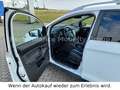 Ford Kuga Titanium/AHK abnehm/Einparkhilfe/4x4 White - thumbnail 9