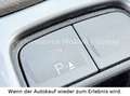 Ford Kuga Titanium/AHK abnehm/Einparkhilfe/4x4 White - thumbnail 19