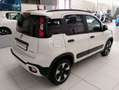 Fiat Panda Panda III 2021 Cross 1.0 firefly hybrid Cross s Rosso - thumbnail 4