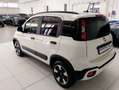 Fiat Panda Panda III 2021 Cross 1.0 firefly hybrid Cross s Rosso - thumbnail 3