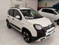 Fiat Panda Panda III 2021 Cross 1.0 firefly hybrid Cross s Rosso - thumbnail 2