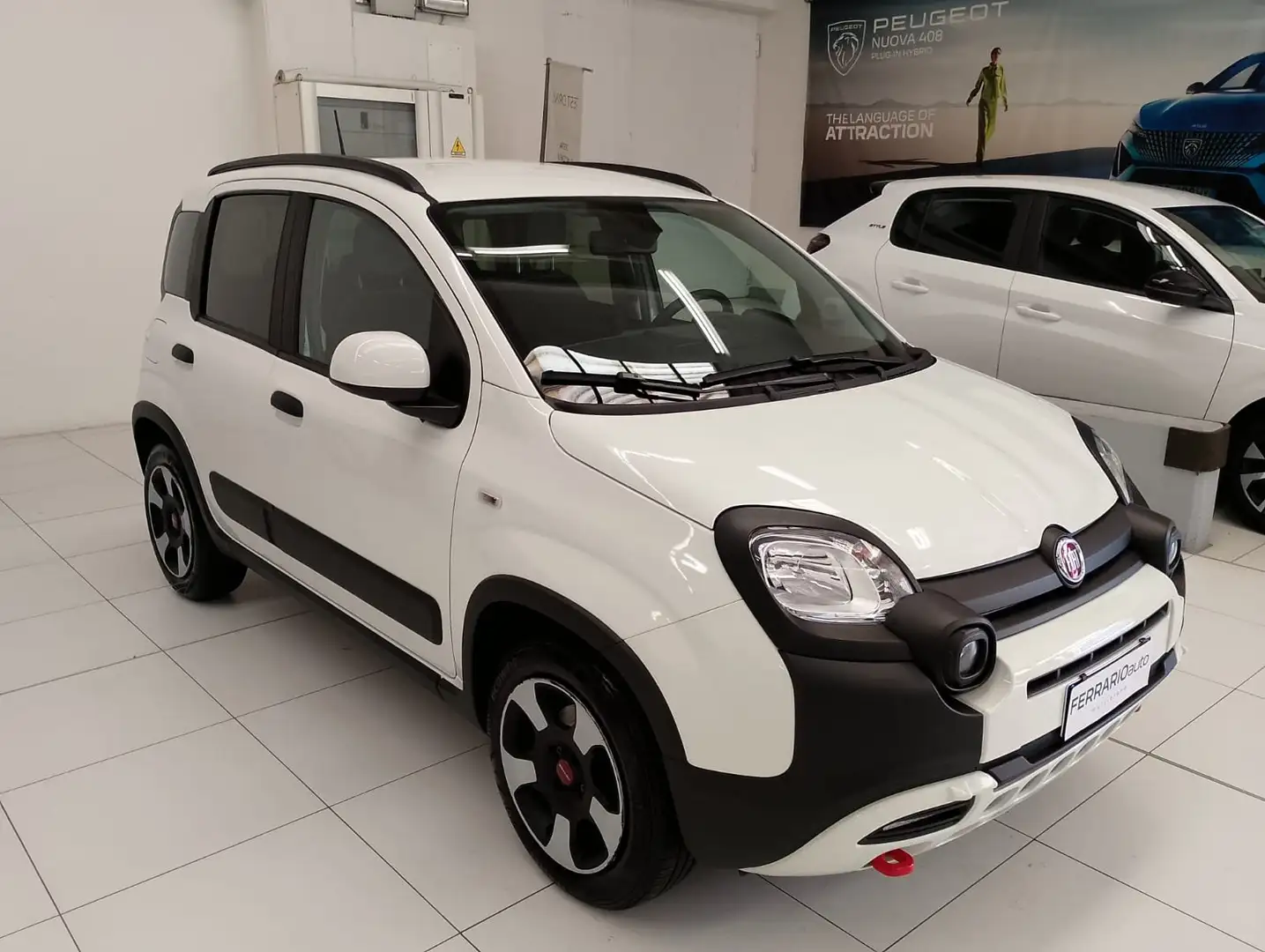 Fiat Panda Panda III 2021 Cross 1.0 firefly hybrid Cross s Rosso - 2