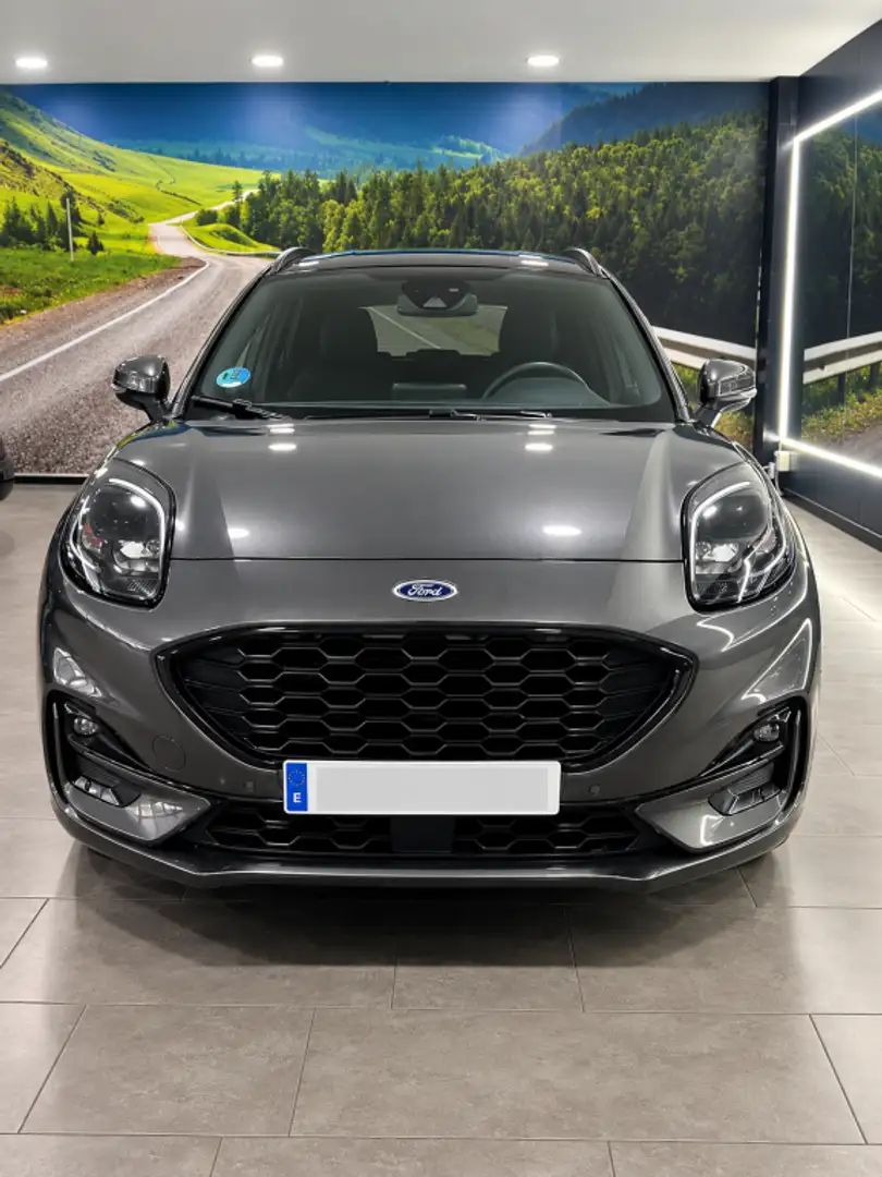 Ford Puma 1.0 EcoBoost MHEV ST-Line 125 Marrón - 1