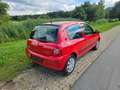 Renault Clio 1.2 Campus Access, KLIMA! TÜV neu! Servo, TOP! Rot - thumbnail 5