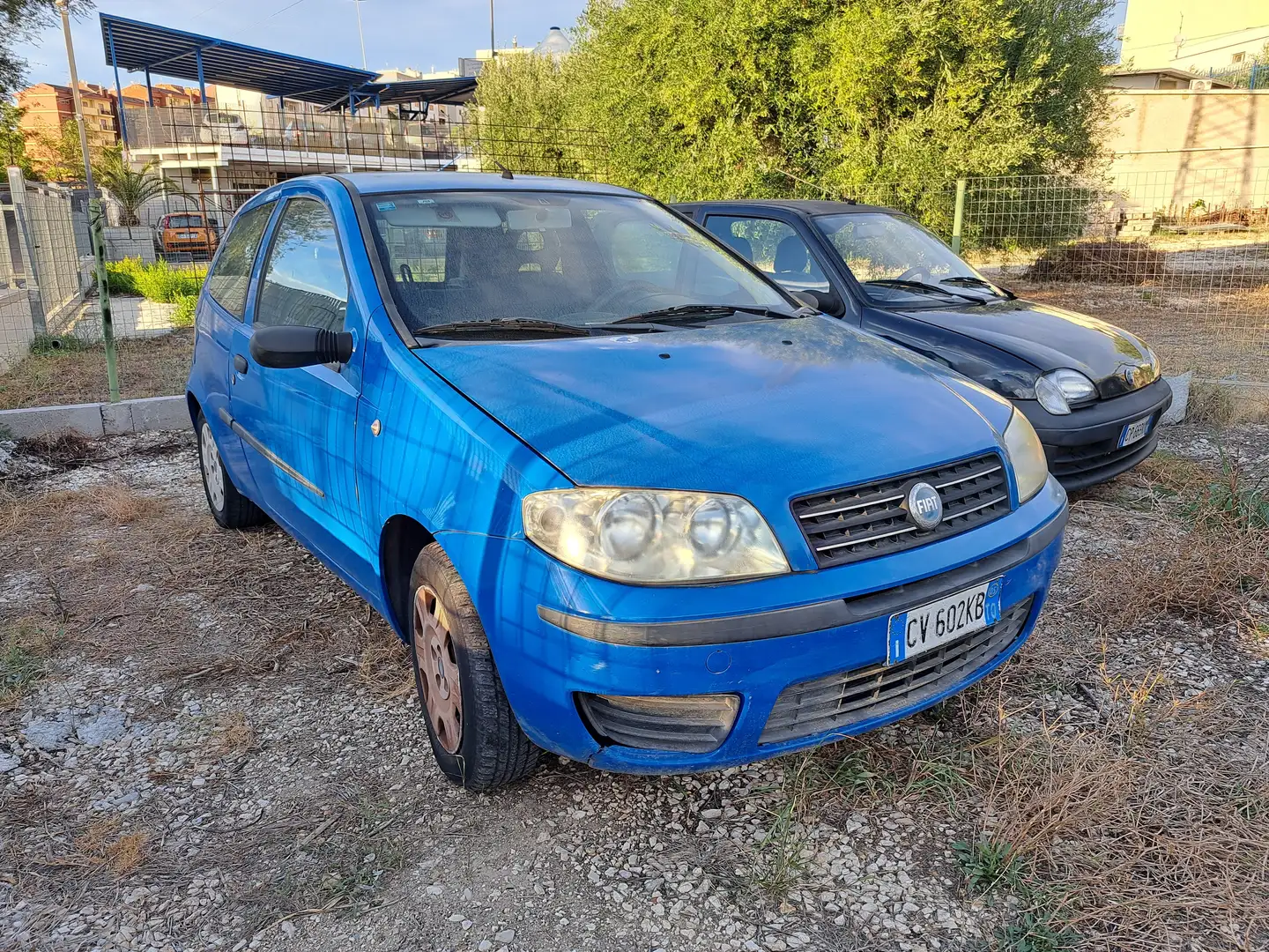 Fiat Punto Punto 3p 1.2 Benz/GPL Azul - 1