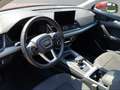 Audi Q5 40 2.0 tdi mhev 12V Business Advanced quattro s-tr Rosso - thumbnail 6
