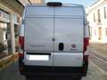 Fiat Ducato Fg. 35 3.0 Natural Power Largo T.A. Gris - thumbnail 29