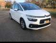 Citroen C4 Picasso 1.6 e-hdi Seduction 115cv - thumbnail 7