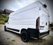 Opel Movano mit Delta 4x4 Felgen & Loder AT Offroad Reifen - thumbnail 4