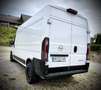 Opel Movano mit Delta 4x4 Felgen & Loder AT Offroad Reifen - thumbnail 5