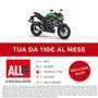 Kawasaki Z 125 . Verde - thumbnail 2