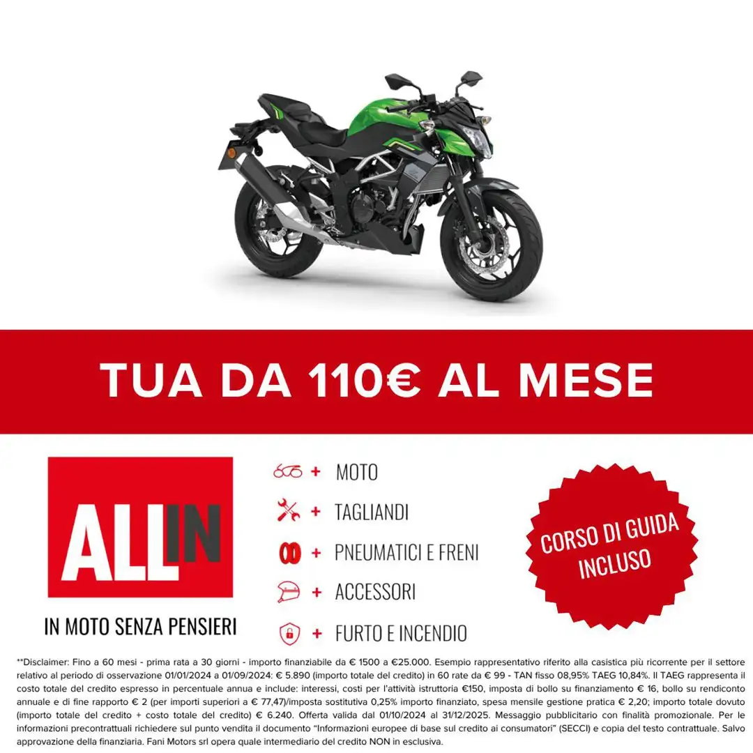 Kawasaki Z 125 . Verde - 2