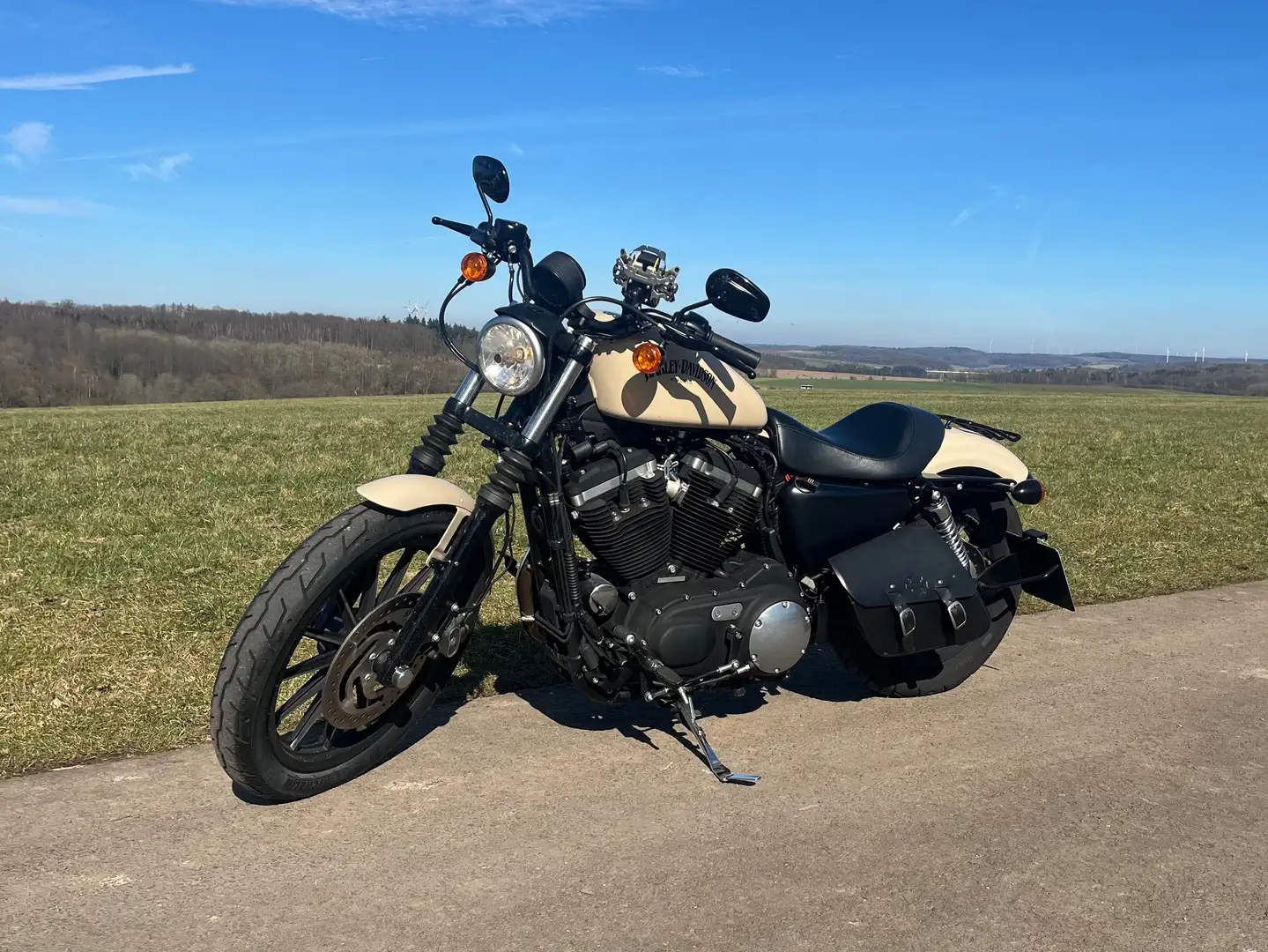 Harley-Davidson Iron 883 Bej - 2