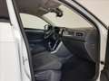 Volkswagen T-Roc 1.0 TSI Style Bianco - thumbnail 10