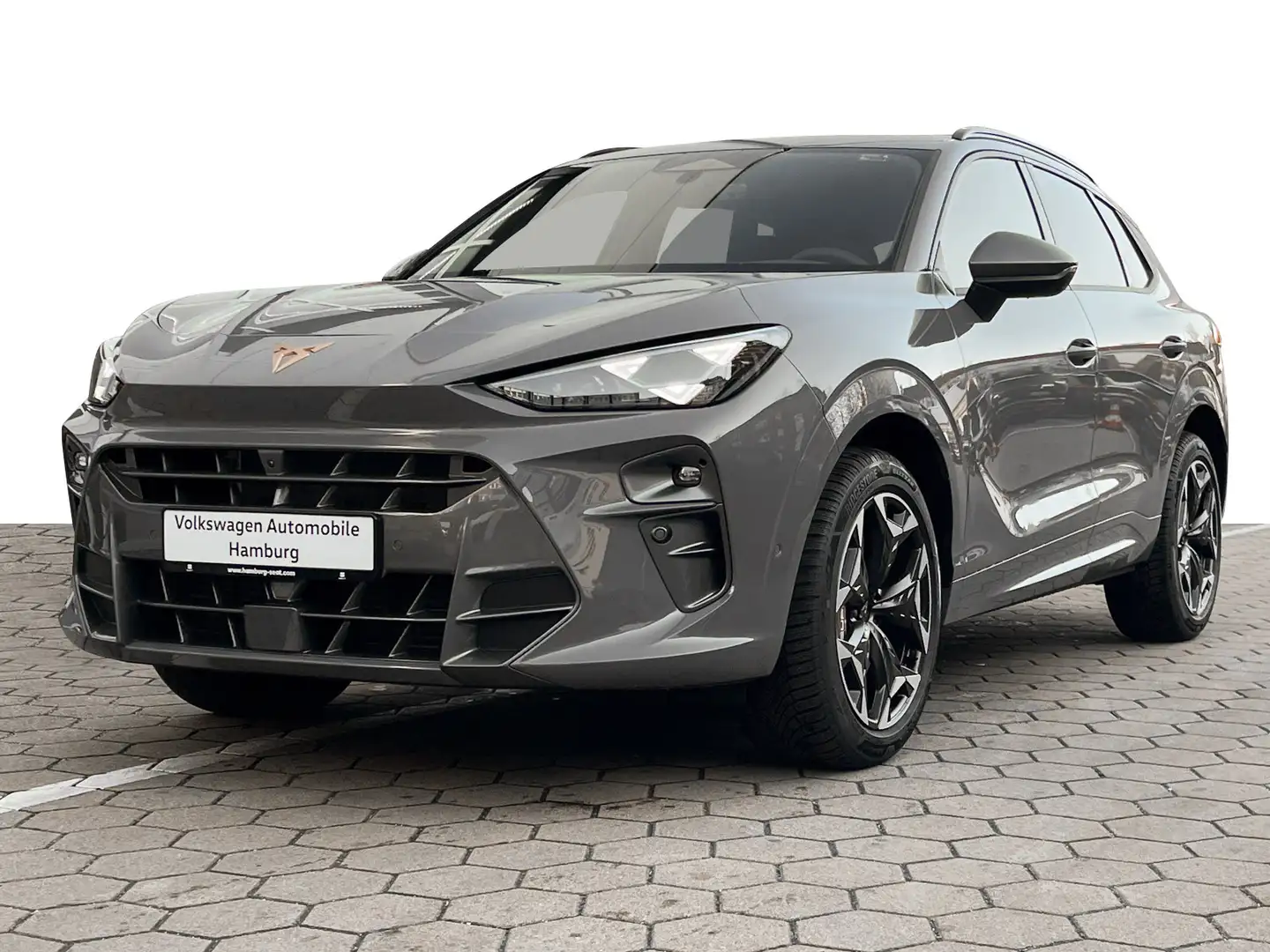 CUPRA Terramar VZ 2.0 TSI 4Drive DSG Pano Matrix Grau - 2