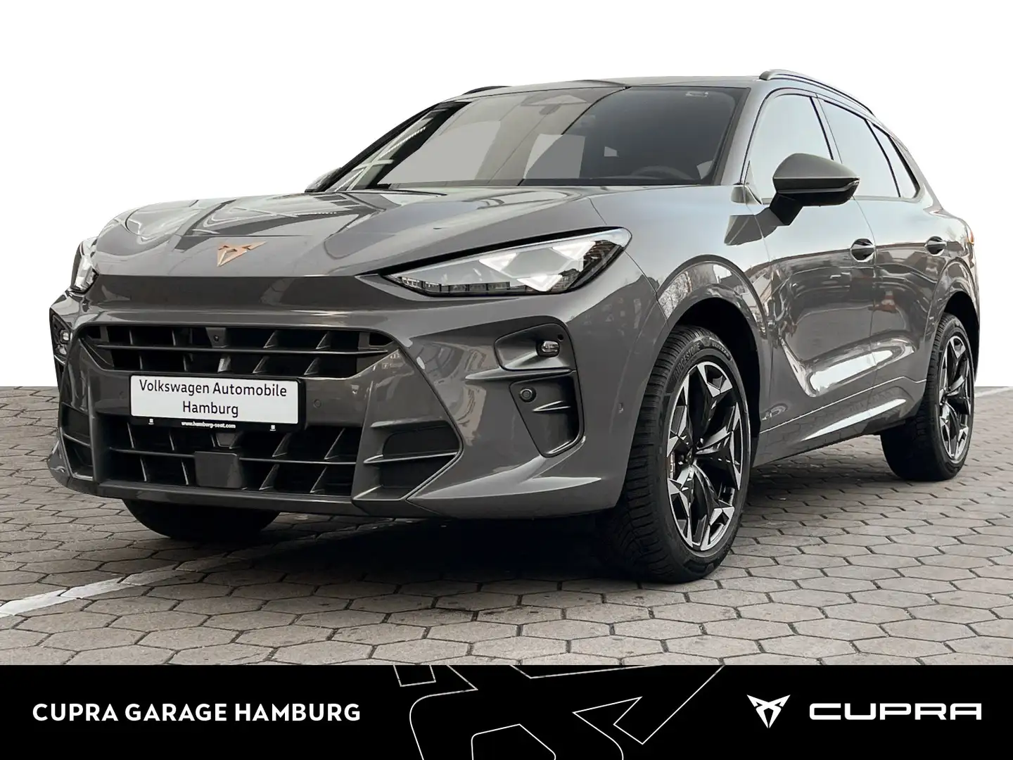 CUPRA Terramar VZ 2.0 TSI 4Drive DSG Pano Matrix Grau - 1