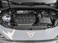 CUPRA Terramar VZ 2.0 TSI 4Drive DSG Pano Matrix Grau - thumbnail 14