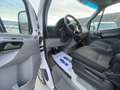 Mercedes-Benz Sprinter F37/33 EXECUTIVE EURO 6B L2H2 UNIPROPRIETARIO Blanc - thumbnail 12
