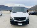 Mercedes-Benz Sprinter F37/33 EXECUTIVE EURO 6B L2H2 UNIPROPRIETARIO Alb - thumbnail 2
