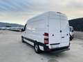 Mercedes-Benz Sprinter F37/33 EXECUTIVE EURO 6B L2H2 UNIPROPRIETARIO Alb - thumbnail 7