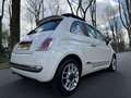 Fiat 500 1.3 JTD Lounge pano airco diesel Wit - thumbnail 5