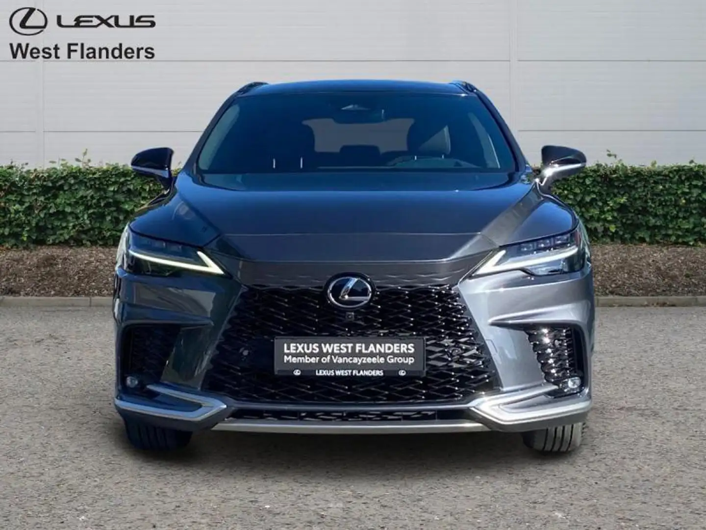 Lexus RX 450h F Sport Design+360° cam+nav+se Grijs - 2