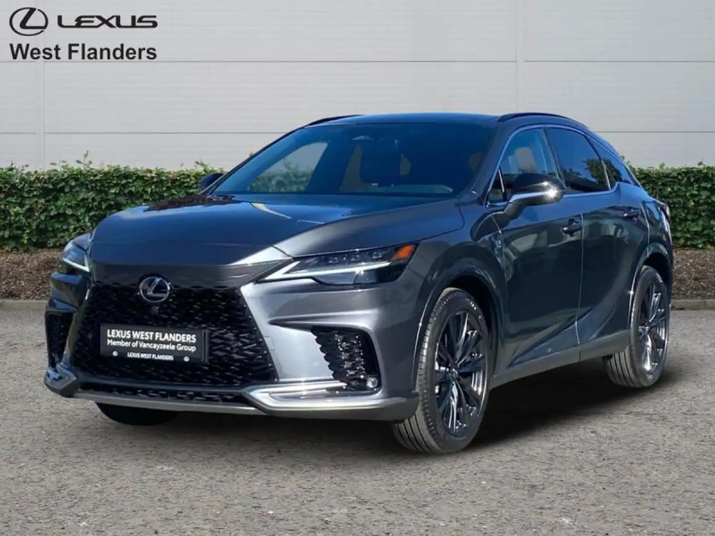 Lexus RX 450h F Sport Design+360° cam+nav+se Grijs - 1