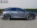 Lexus RX 450h F Sport Design+360° cam+nav+se Grijs - thumbnail 3