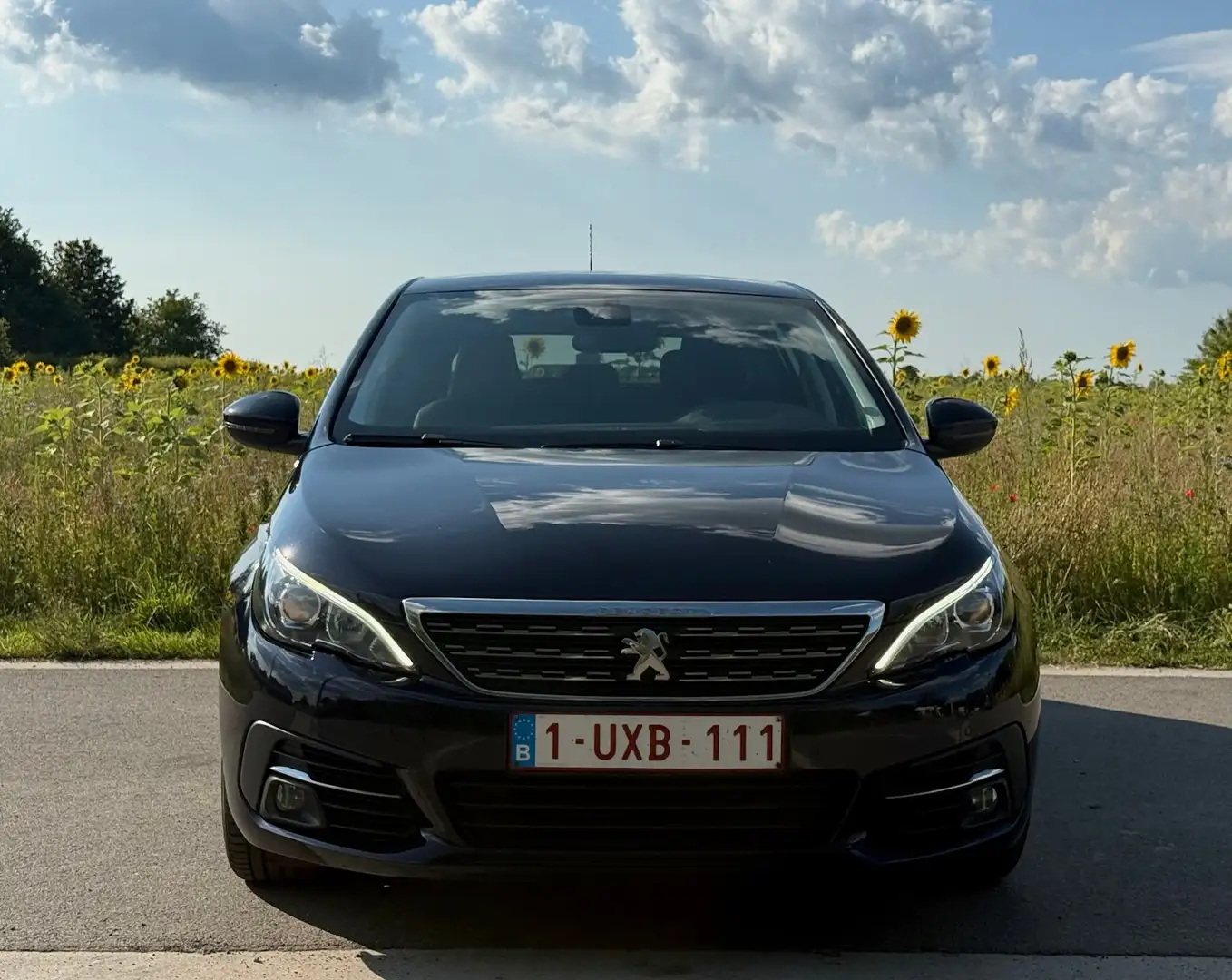 Peugeot 308 308 BlueHDi FAP 130 Stop Blauw - 2