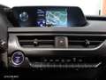 Lexus UX 250h Executive Navigation 4WD - thumbnail 23