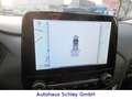 Ford Puma Titanium X*LED*B&O*GJR*PDC*Winterp.* Bleu - thumbnail 17