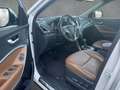 Hyundai SANTA FE 2.2 CRDi 4WD Premium Pano ACC Leder Xenon Kamera36 Blanc - thumbnail 7