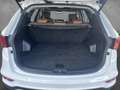 Hyundai SANTA FE 2.2 CRDi 4WD Premium Pano ACC Leder Xenon Kamera36 Blanc - thumbnail 10