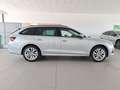 Skoda Octavia wagon 2.0 tdi style 150cv dsg Argento - thumbnail 5