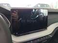Skoda Octavia wagon 2.0 tdi style 150cv dsg Argento - thumbnail 12