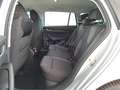 Skoda Octavia wagon 2.0 tdi style 150cv dsg Argento - thumbnail 8