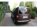 Volkswagen Caddy Kasten Kombi Trendline 1.6 TDI Braun - thumbnail 13