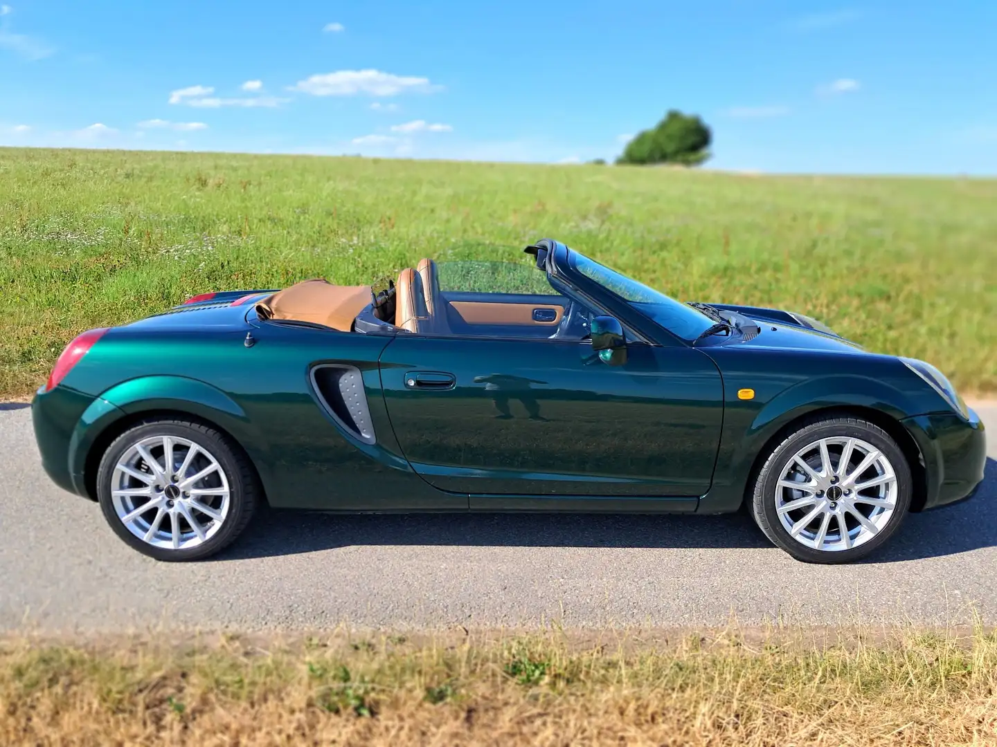 Toyota MR 2 Roadster SMT Color Edition Yeşil - 1