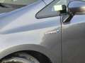 Toyota Prius+ Prius Wagon 1.8 Aspiration 96g 7-persoons | Dealer Grijs - thumbnail 3