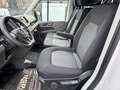 Volkswagen Crafter 2.0 CR TDi 140Cv 3place L2H2 Airco Euro6b Wit - thumbnail 9