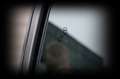 Ford Transit Custom 320 L1 Trend*1.Ha*SHZ*NAVI*KAMERA Schwarz - thumbnail 20
