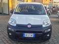 Fiat Panda 1.3 mtj Van CLIMATIZZATA Weiß - thumbnail 1