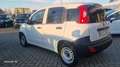 Fiat Panda 1.3 mtj Van CLIMATIZZATA Weiß - thumbnail 5