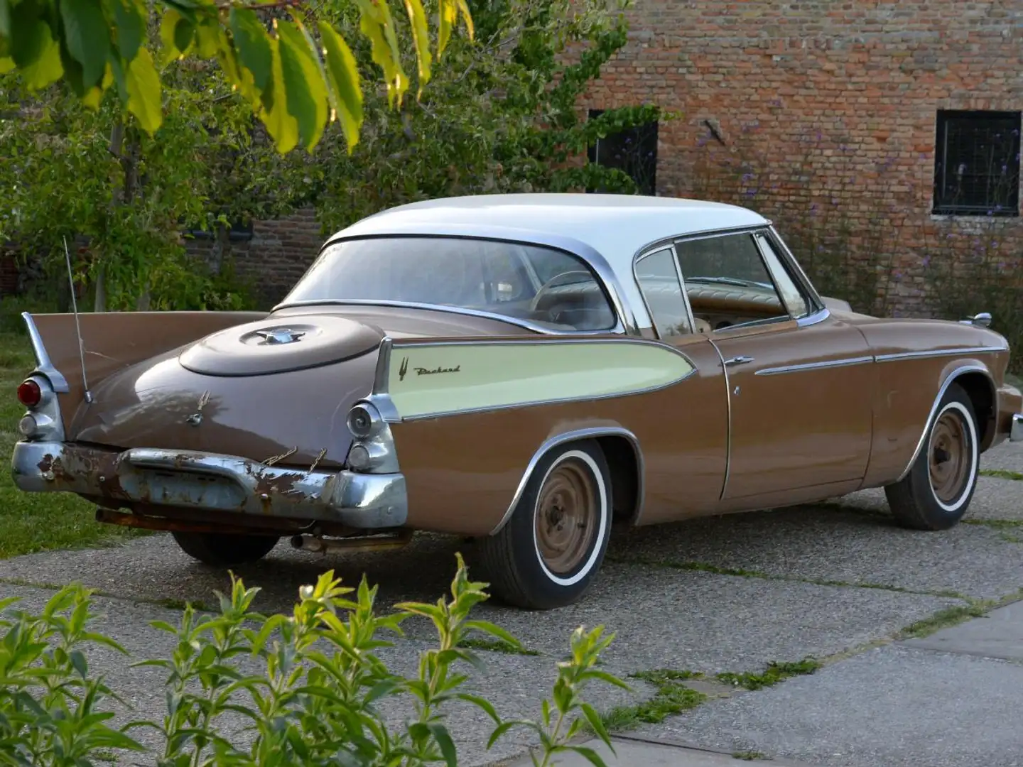 Studebaker Sonstige Packard Hawk -1958 Braun - 1