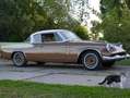 Studebaker Sonstige Packard Hawk -1958 Braun - thumbnail 2