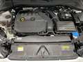 Audi A3 Sportback 35 TFSI Genuine S tronic Blanco - thumbnail 11